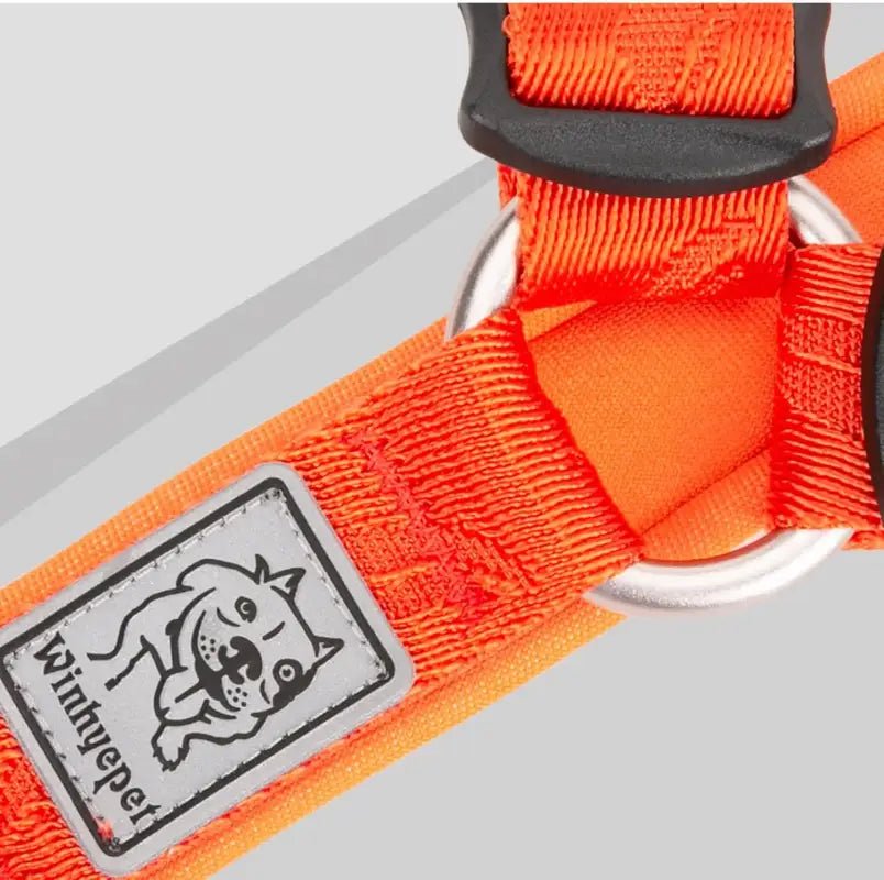 Harnais pour chien Truelove en H réglable avec tag Winhyepet et anneaux métalliques