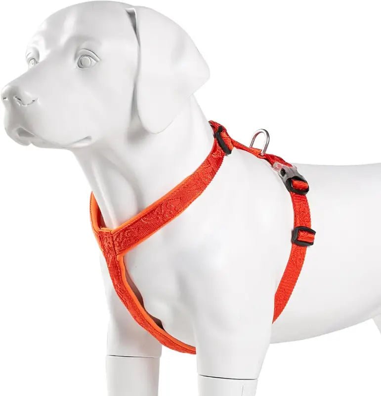 Harnais Truelove en H pour chien réglable avec attache dorsale et boucle noire