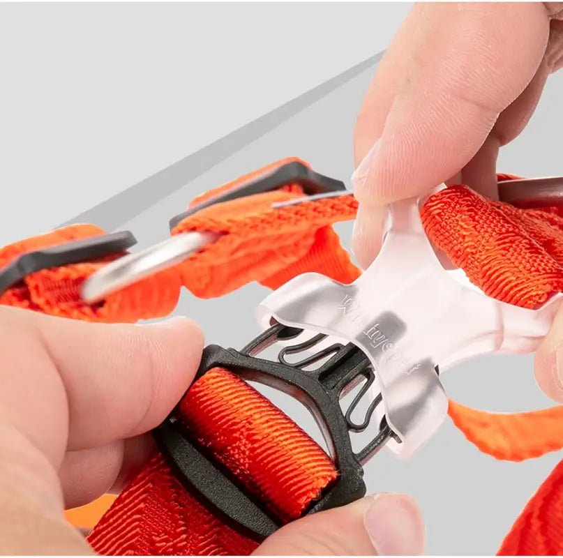 Harnais Truelove en H pour chien réglable avec attache dorsale et boucle rapide