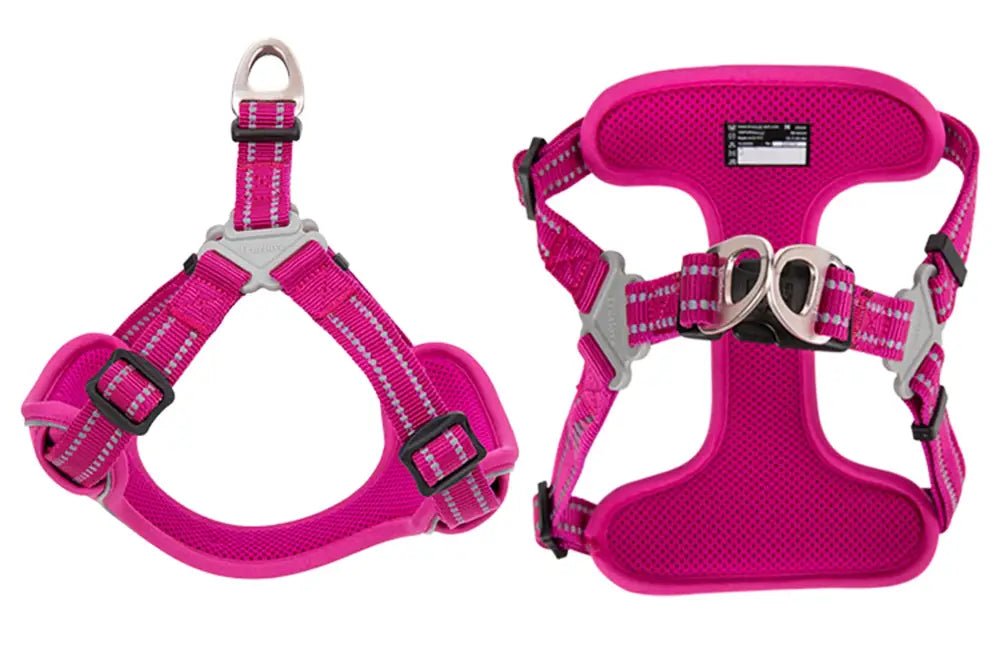Harnais pour chien Truelove rembourré avec bandes réfléchissantes et design step-in