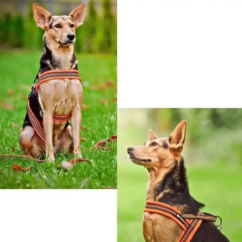 Harnais pour chien Truelove en T Soft Mesh rembourré avec boucle duraflex et truelove tlh5811