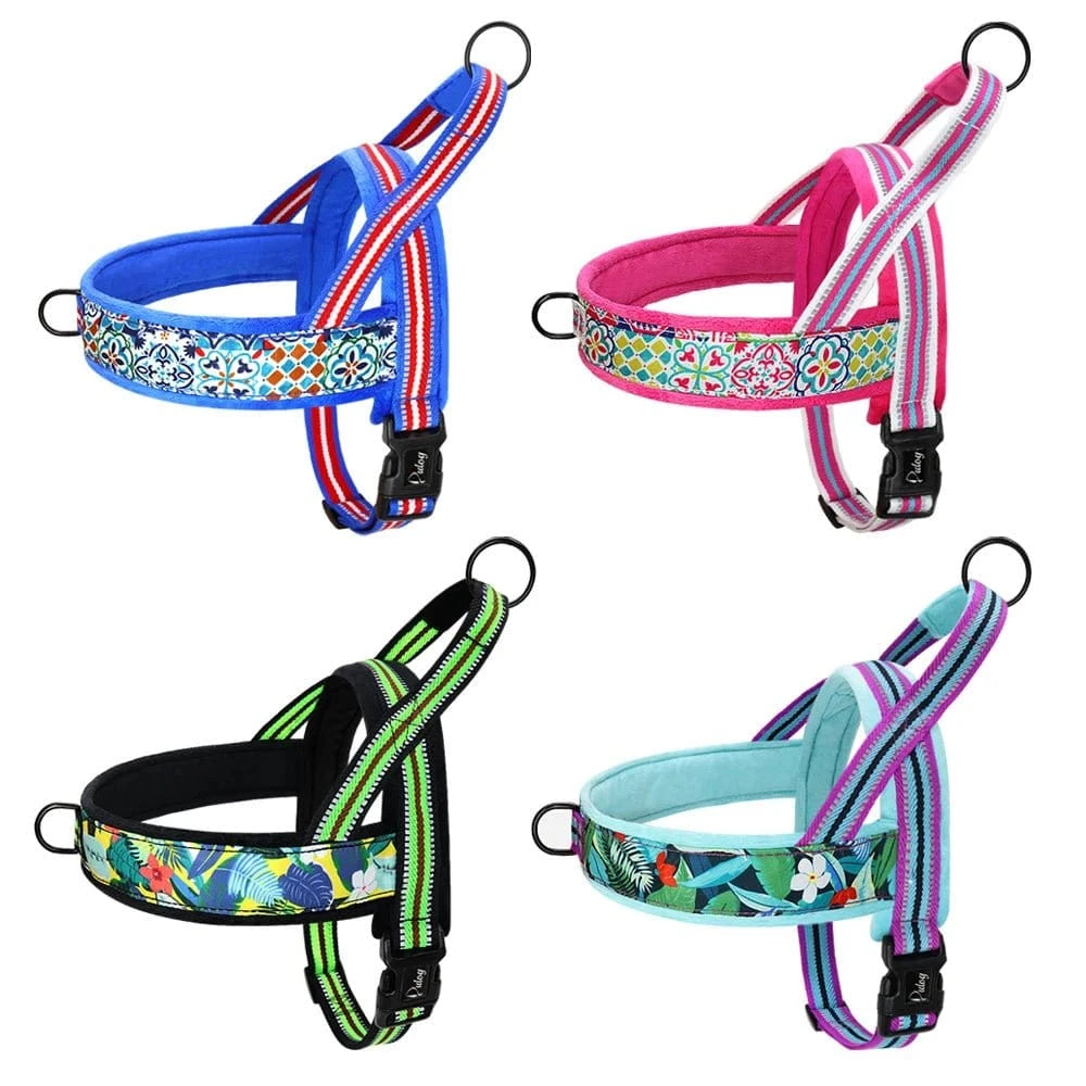 Harnais Doux et Ajustable - Bleu A - XS