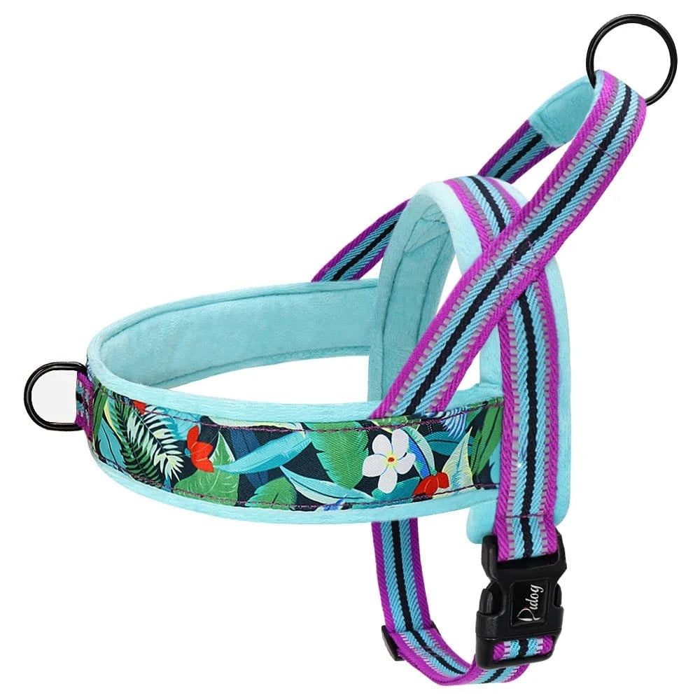 Harnais Doux et Ajustable - Bleu Ciel C - XS