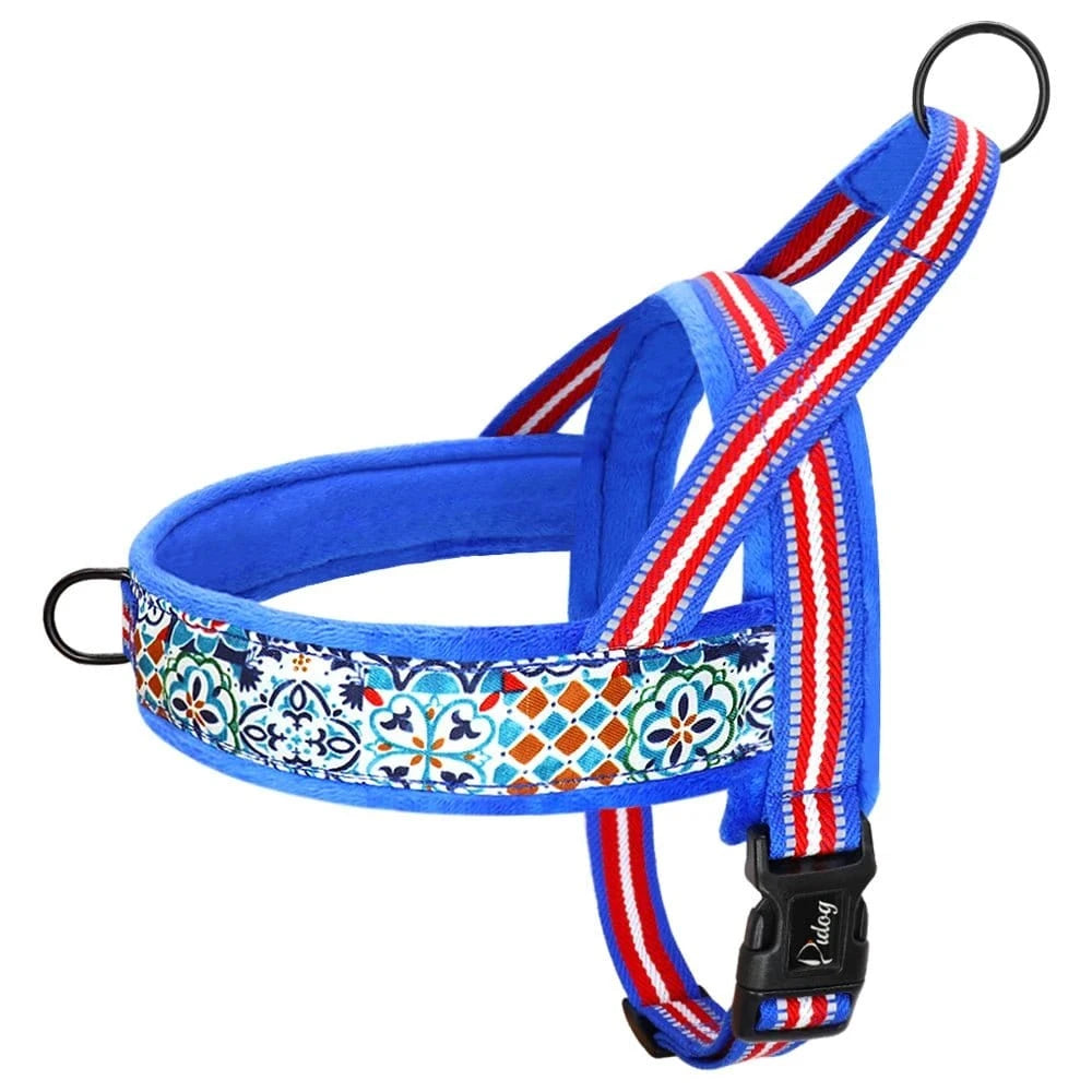 Harnais Doux et Ajustable - Bleu C - XS