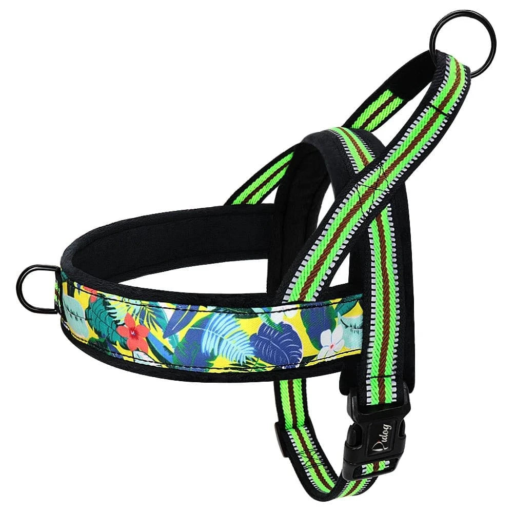 Harnais Doux et Ajustable - Vert C - XS