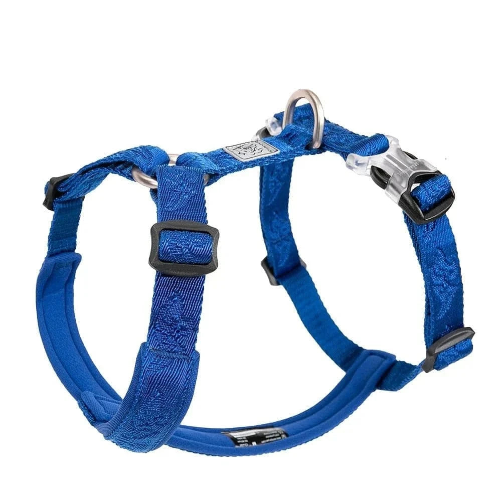 Harnais en H en Nylon Truelove pour chien bleu, dégagement rapide, modèle YH1802