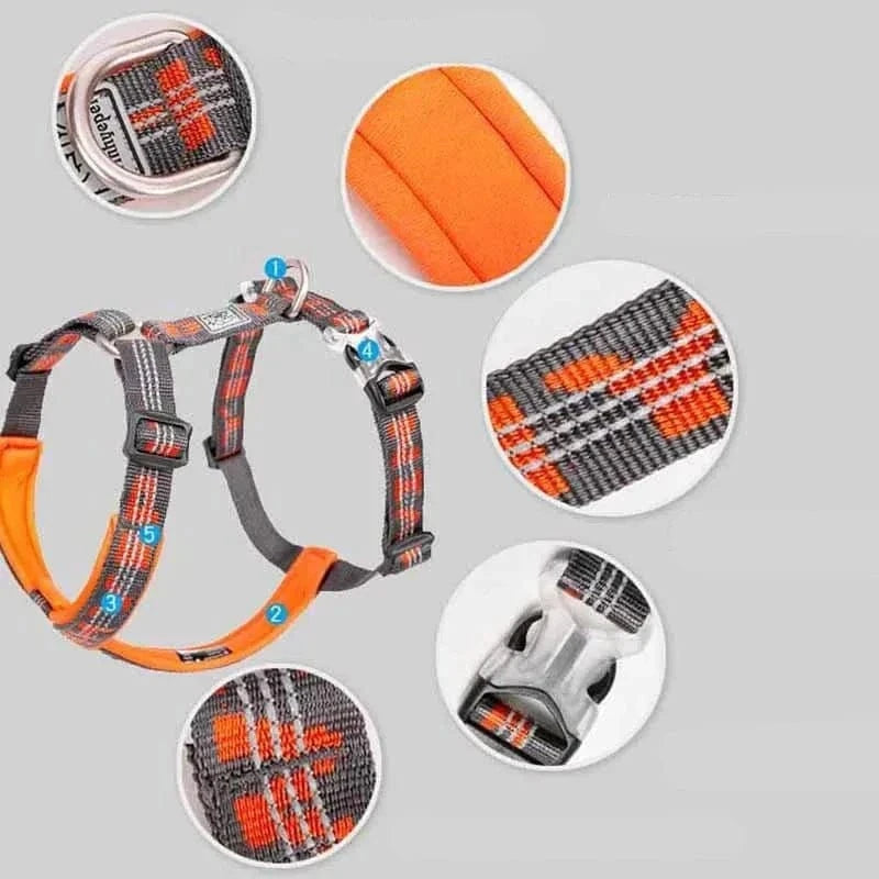 Harnais en H Truelove avec plaid et rembourrage orange, facile à enfiler, modèle YH1802