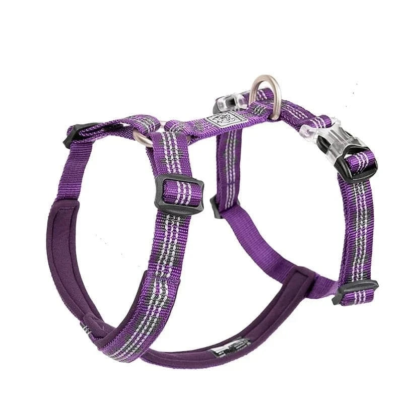 Harnais en H Truelove dégage rapide en nylon violet avec bandes réfléchissantes pour chien