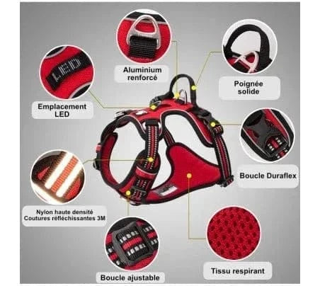Harnais en Y Truelove Country avec couture réfléchissante pour chien rouge