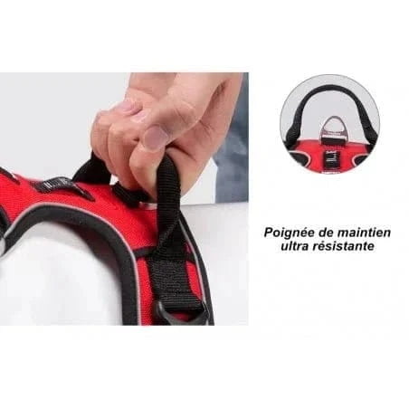 Harnais Truelove Country rouge et noir pour chien, anti-traction, harnais Truelove