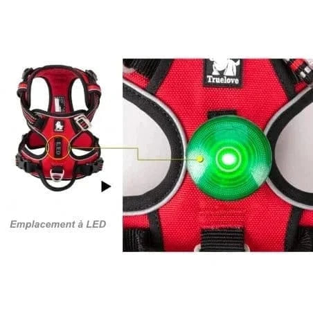 Harnais Truelove TLH5654 Y avec LED verte pour chien rouge et vert