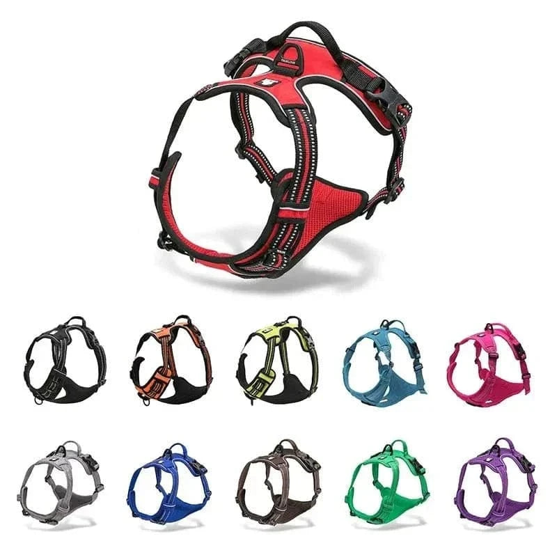 Harnais en Y Truelove Country en plusieurs couleurs pour aux petits chiens, ajustement parfait