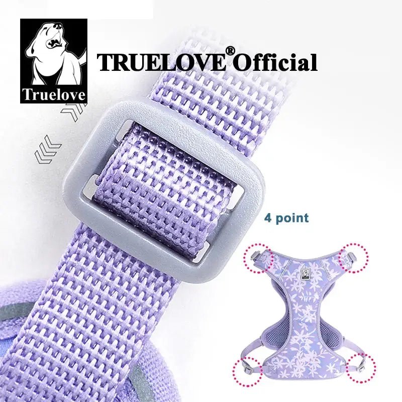 Harnais pour petit chien Truelove avec laisse assortie, ensemble harmonieux prêt à l’emploi