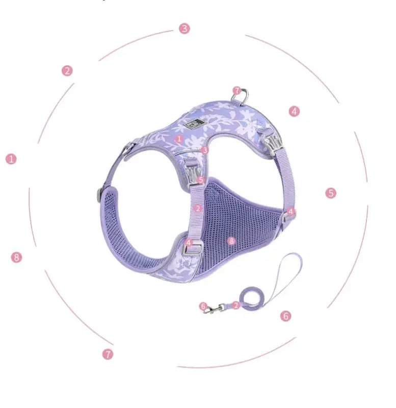 Harnais pour petit chien Truelove avec laisse assortie, ensemble harmonieux prêt à l’emploi