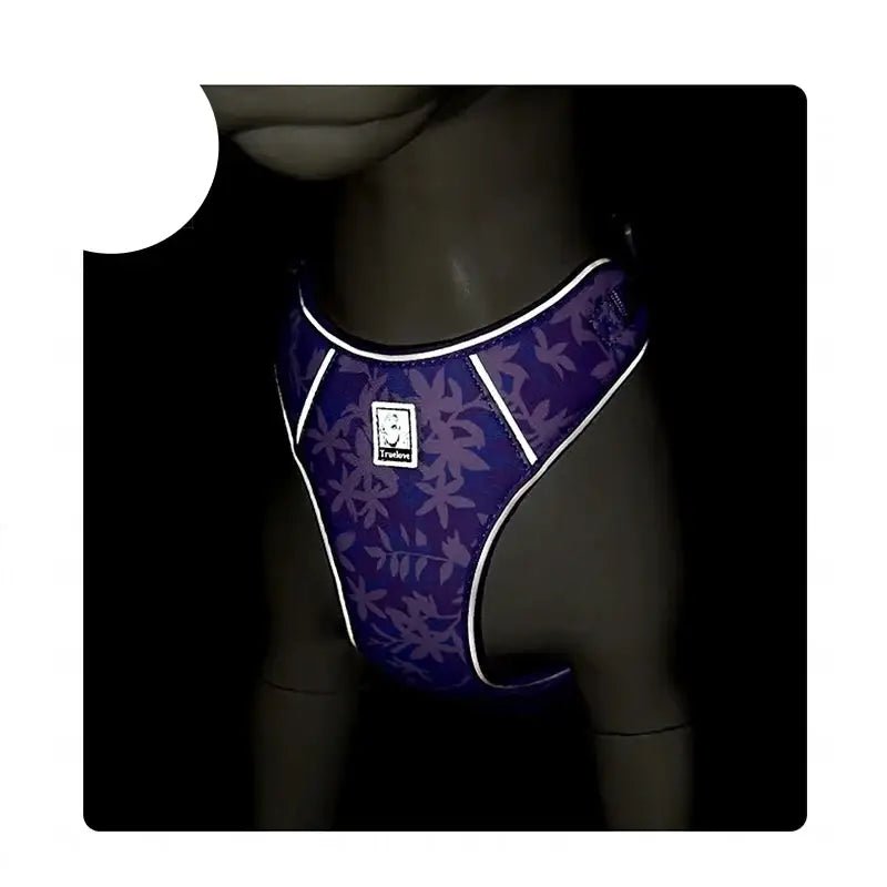 Harnais pour petit chien Truelove avec laisse assortie, ensemble harmonieux prêt à l’emploi