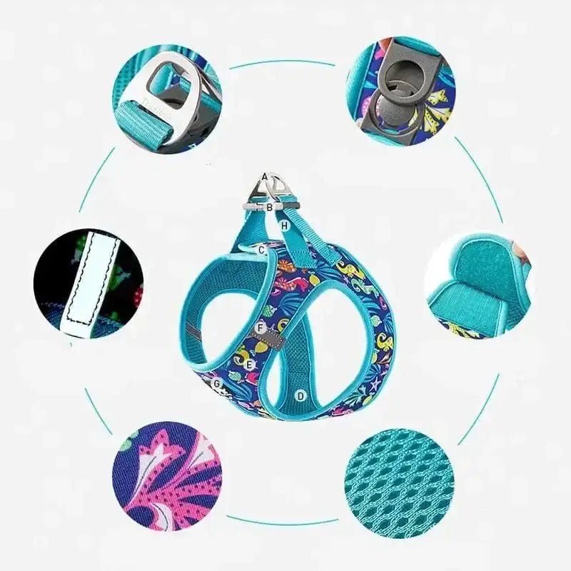 Harnais Truelove pour chien doux et respirant avec motif bleu, confortable et léger