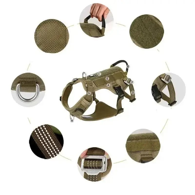 Harnais Truelove chien robuste avec poignée dorsale renforcée et système molle en vert olive