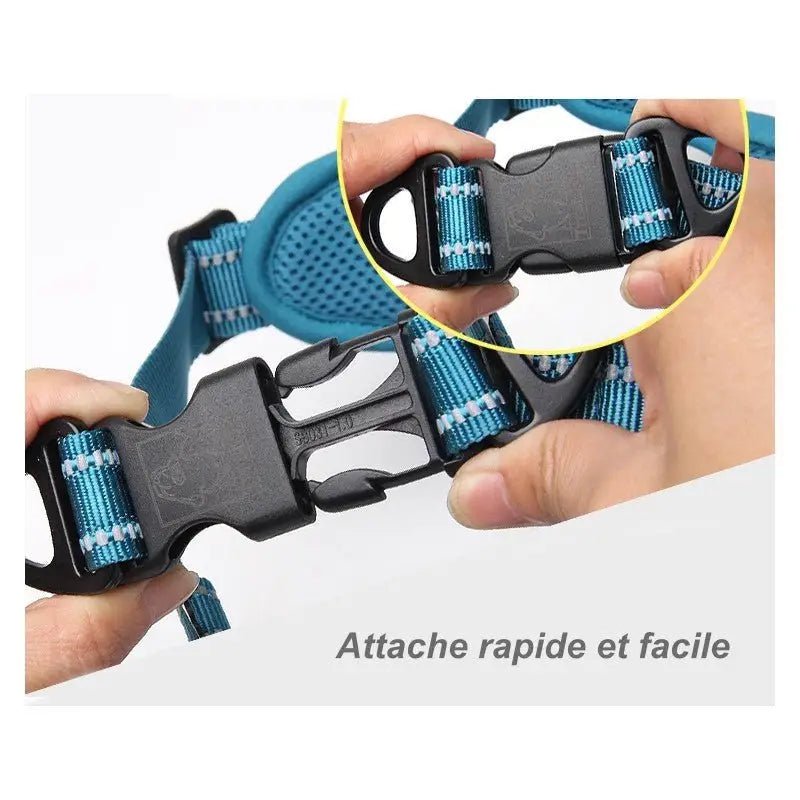 Harnais Truelove pour chien avec maintien au poitrail rembourré et réglable, facile à enfiler