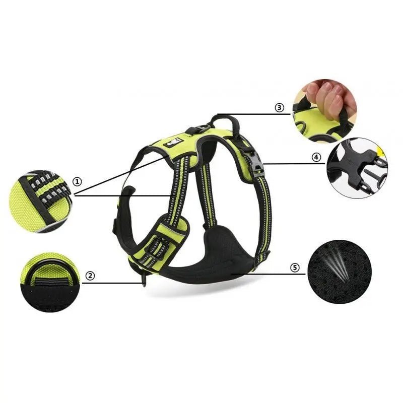 Harnais Truelove Country en Y pour chien rembourré avec bandes réfléchissantes