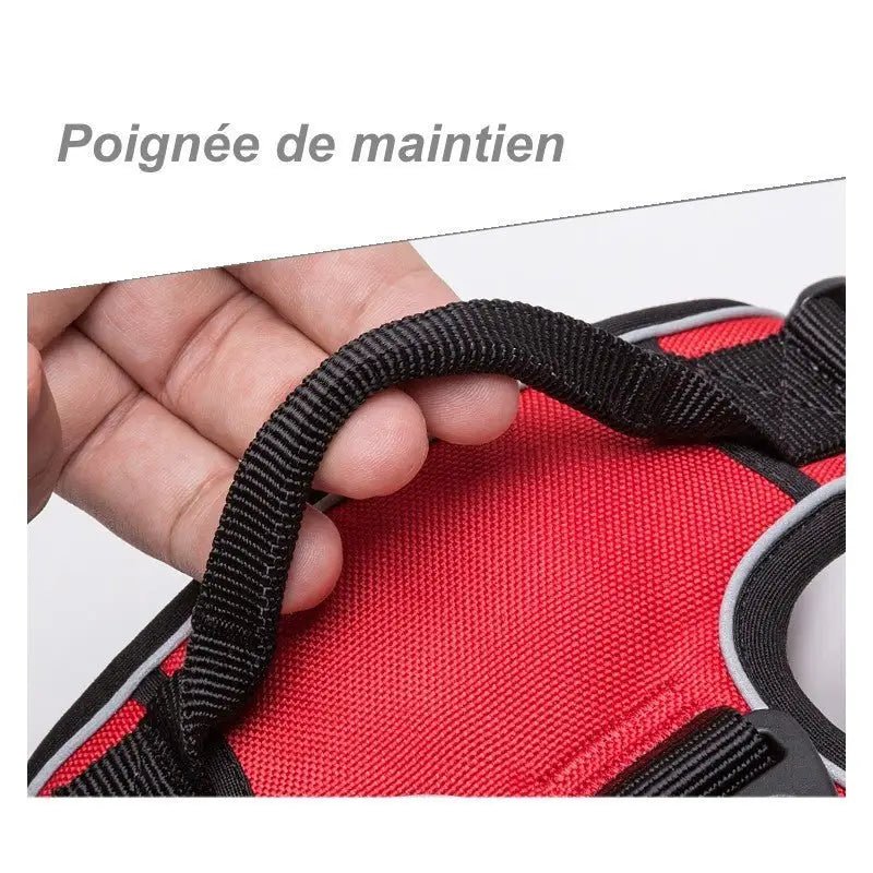 Harnais Truelove Country en Y pour chien avec poignée noire et rembourré ajustable