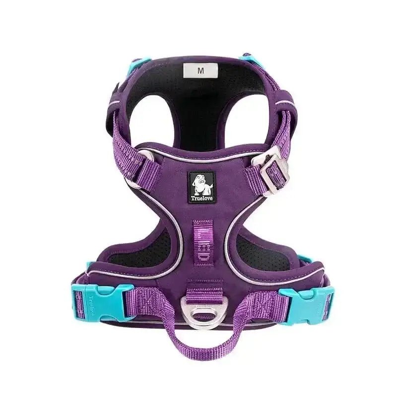 Harnais en Y Truelove Country Plus rembourré pour chien avec design violet et accents turquoise