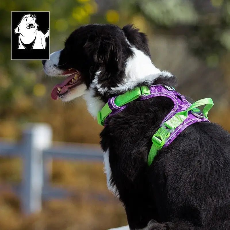 Harnais Truelove Country Plus en Y pour chien, anti-traction avec poignée in black and white dog