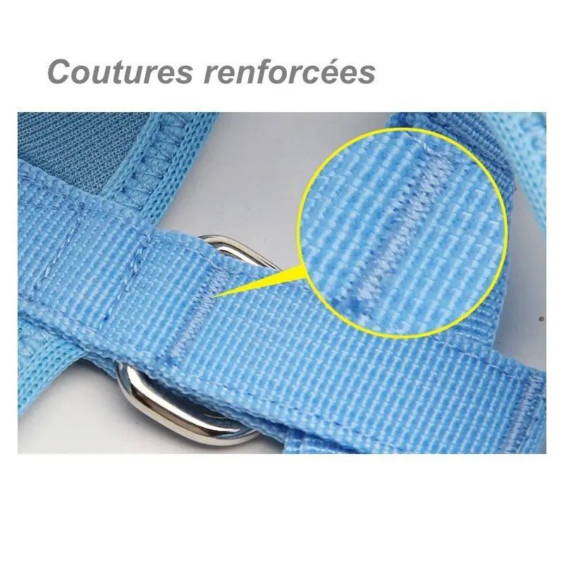 Harnais Truelove léger pour petit chien en tissu bleu avec renforts et fermeture sécurisée