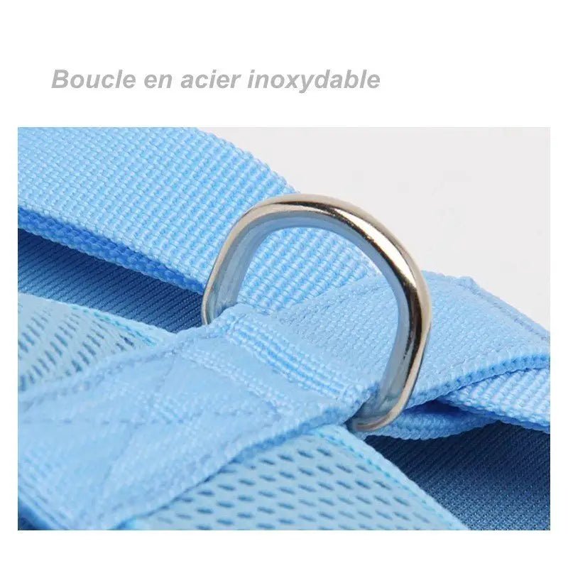 Photo d un harnais Truelove léger et respirant pour petit chien avec anneau métallique