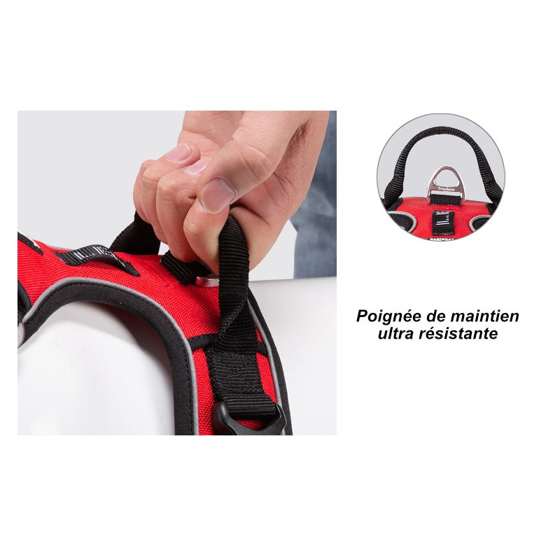 Poignée compatible ceinture auto