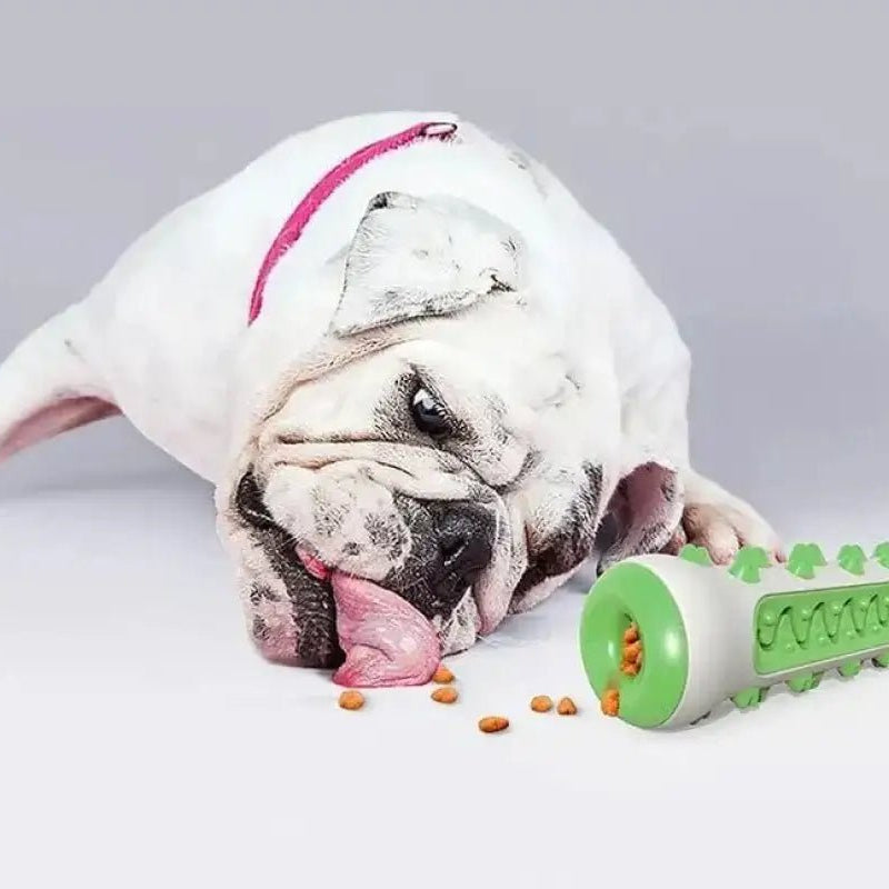 Distributeur de friandises blanc et vert, jouet pour chien qui nettoie les dents robuste