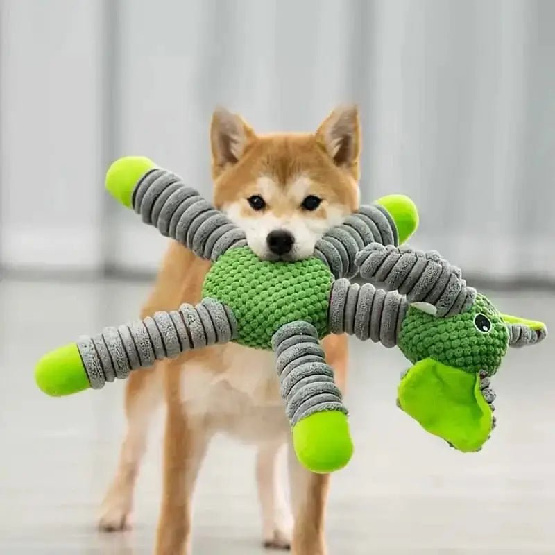 Chien tenant une peluche anti-stress pour chien nerveux et jouet flexible pour chien joueur