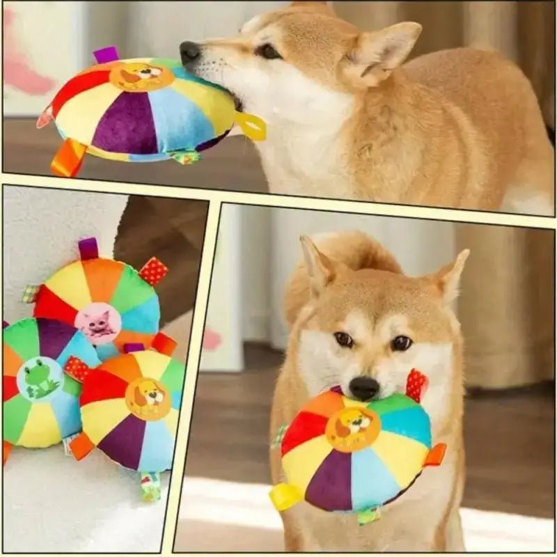 Jouet en tissu pour chien interactif, jouet en peluche rigolote et coloré anti-stress pour chien