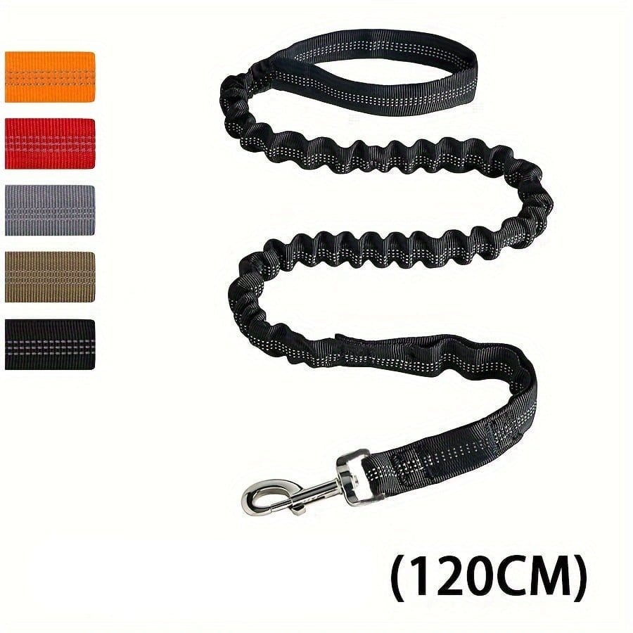 Laisse bungee noire pour chien avec absorption des chocs et attache ceinture sécurité