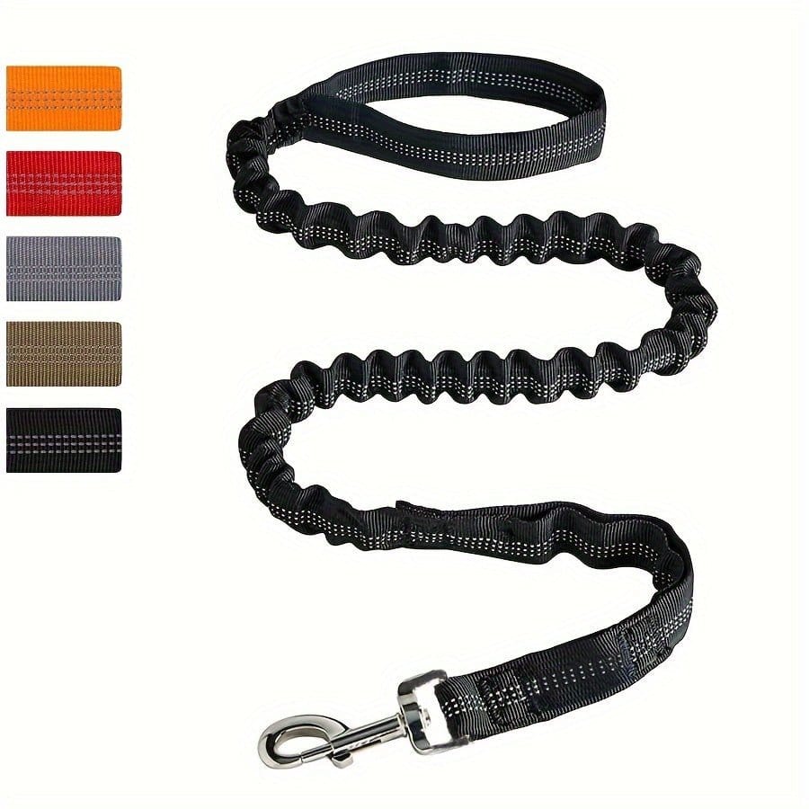 Laisse bungee noire avec absorbeur de chocs, parfaite pour attache ceinture sécurité