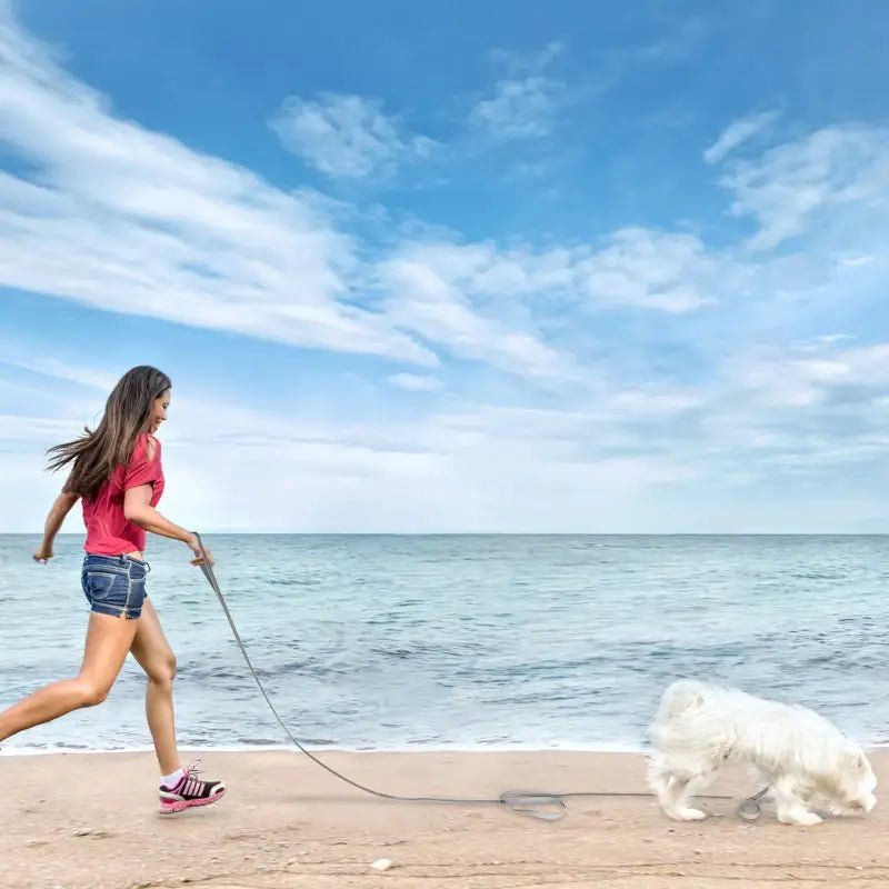 Photo d’une femme courant avec un chien sur une laisse grise Wolfone motif hexagonal bicolore