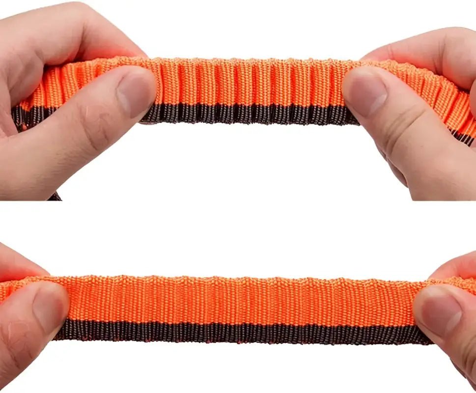 Laisse pour chien TrueLove mains libres avec amorti antichoc et sangle élastique orange et noire