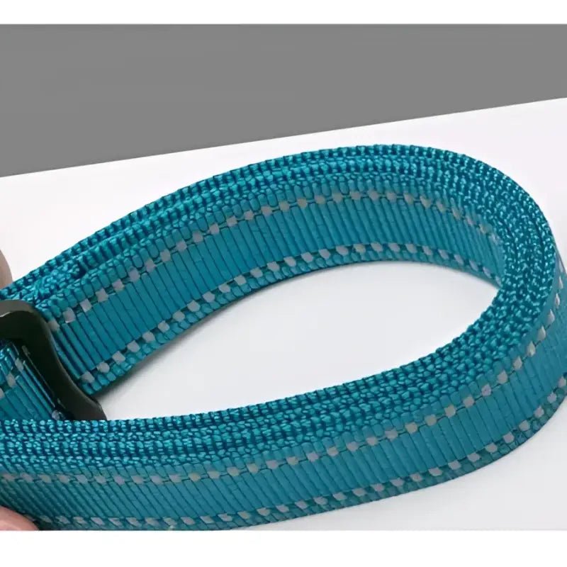 Collier ou laisse réfléchissante bleu teal pour chien Truelove, mains libres, Truelove Climb