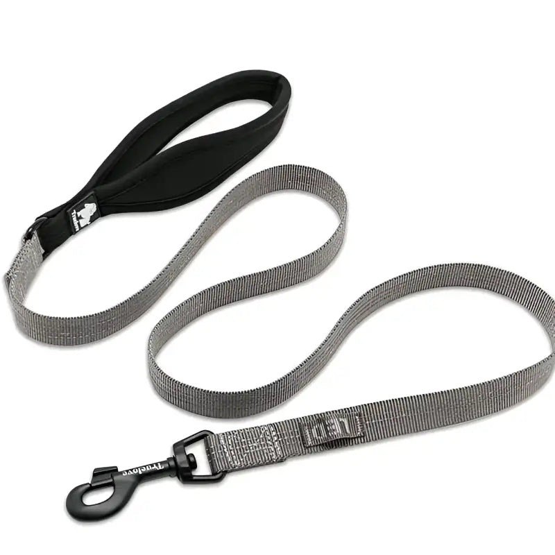 Laisse pour chien Truelove avec poignée rembourrée et fixation LED, gris et noir