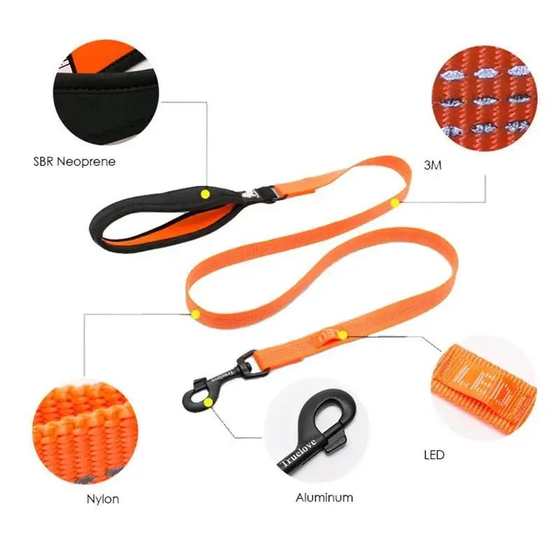 Laisse pour chien Truelove avec poignée rembourrée, fixation LED et couture réfléchissante