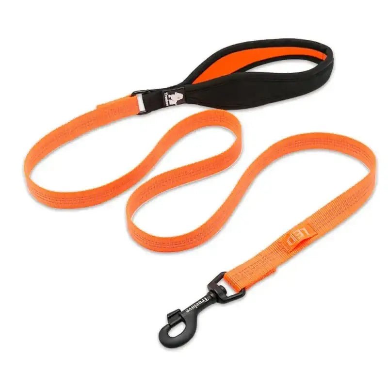 Laisse pour chien Truelove avec poignée rembourrée orange et fixation LED