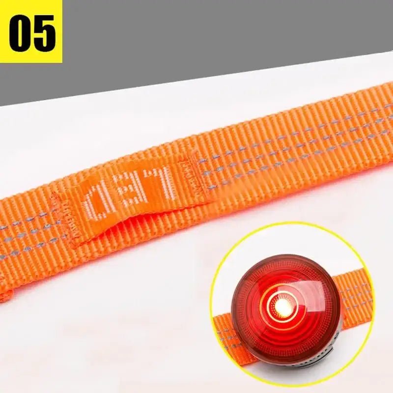 Collier pour chien Truelove orange avec LED rouge, poignée rembourrée et fixation