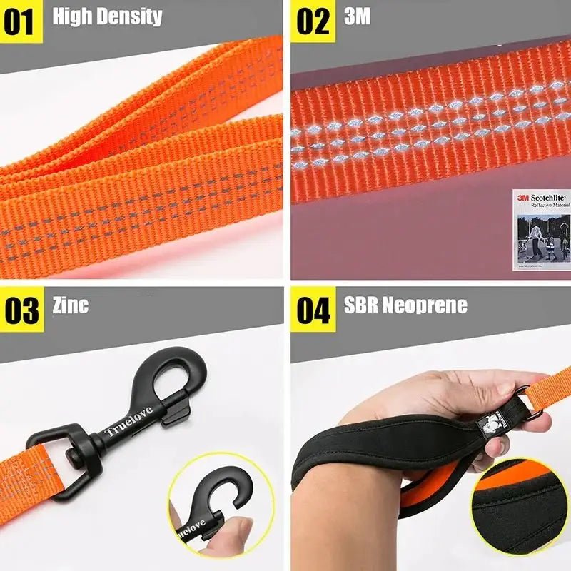 Laisse pour chien TrueLove avec poignée rembourrée, reflet, fixation LED et clip métallique