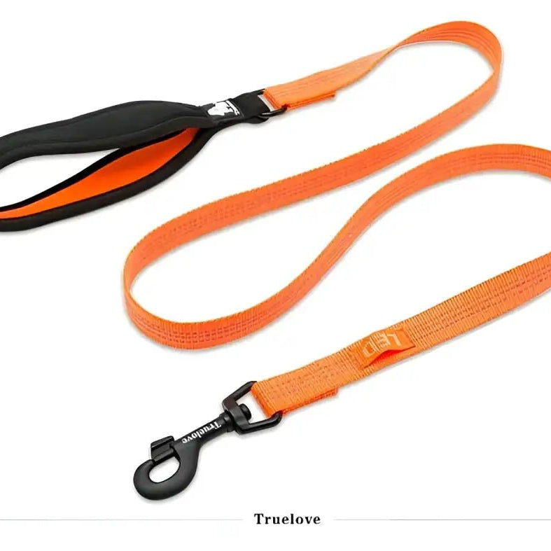 Laisse pour chien Truelove avec poignée rembourrée, orange et noir, fixation LED