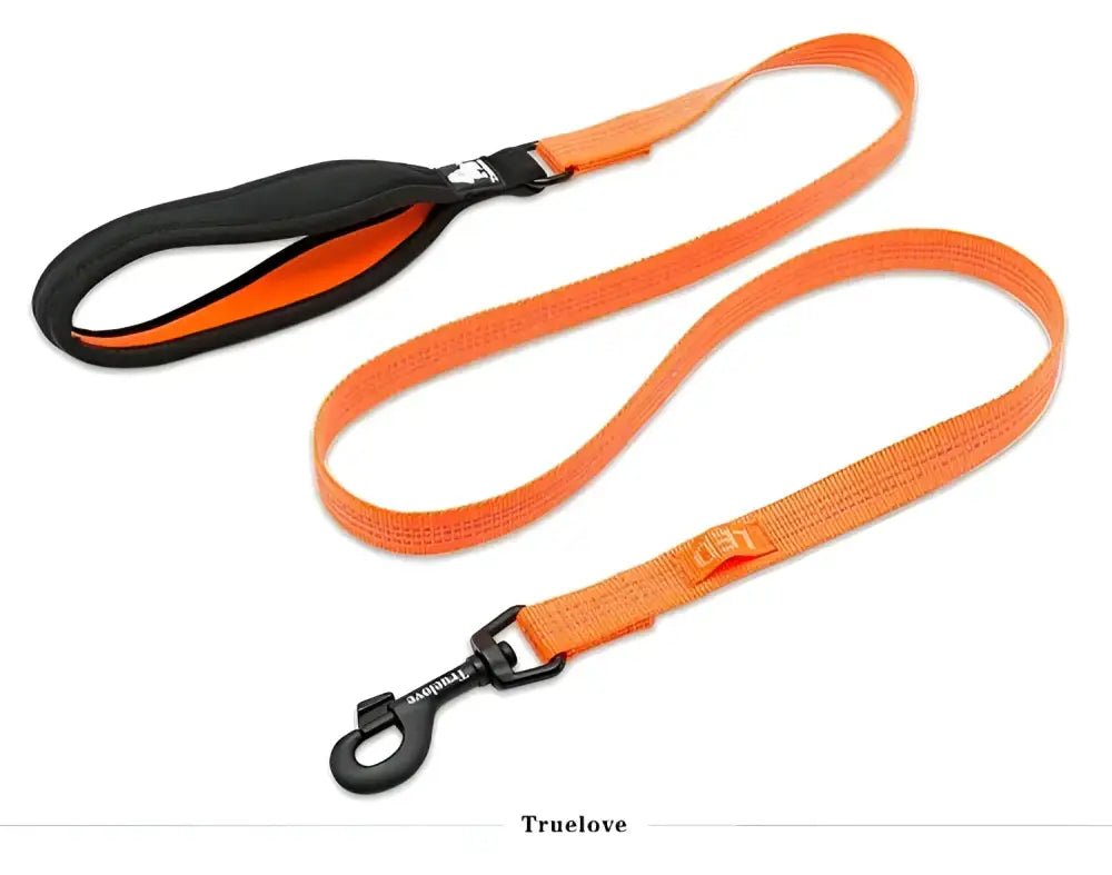 Laisse pour chien Truelove avec poignée rembourrée, orange et noir, fixation LED