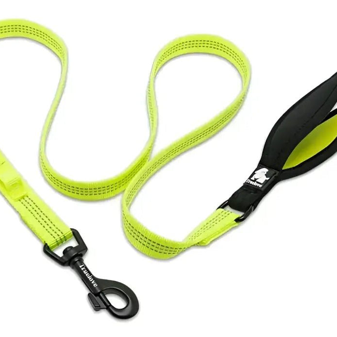 Laisse pour chien Truelove avec poignée rembourrée et fixation LED, jaune néon