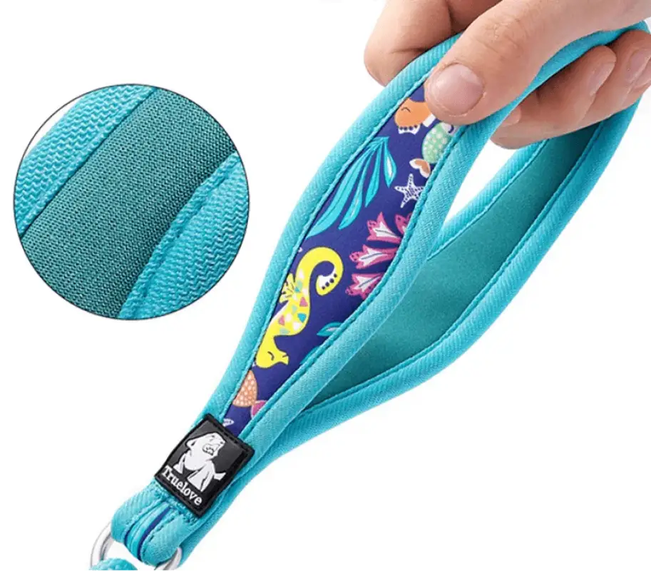Laisse pour chien Truelove avec poignée rembourrée et motif floral marin turquoise