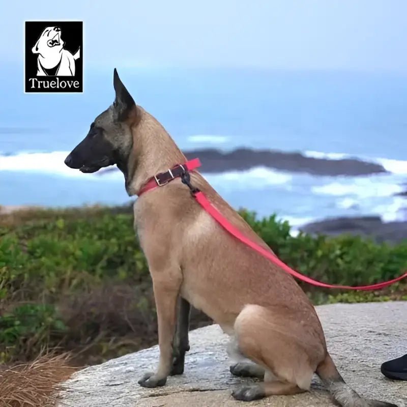 Laisse pour chien Truelove PVC imperméable avec crochet rotatif 360°, chien truelove tll3211