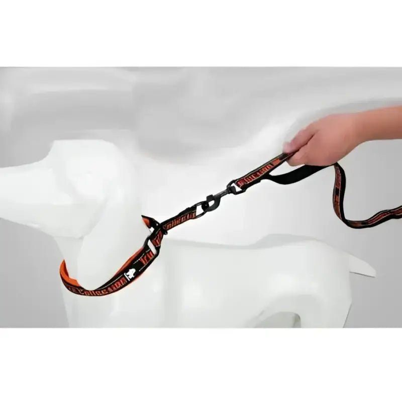 Laisse pour chien Truelove réfléchissante avec poignée rembourrée et clip métallique