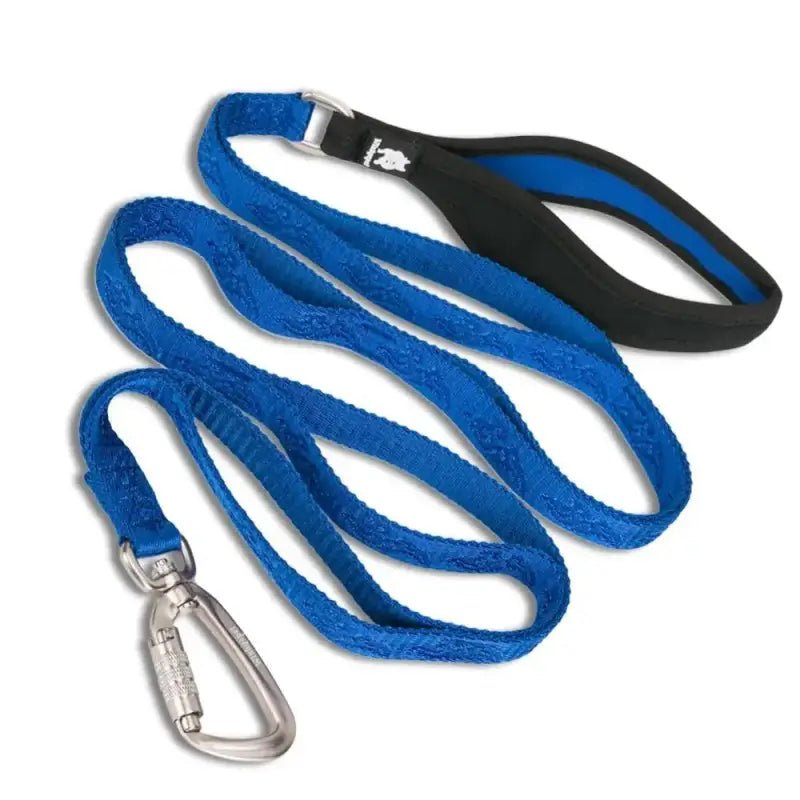 Laisse pour chien TrueLove résistante avec poignée confort et clip carabiner, chien truelove