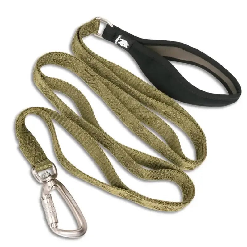 Laisse pour chien Truelove résistante avec poignée confortable, couleur olive, clip argent